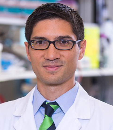 Ty K. Subhawong, MD
