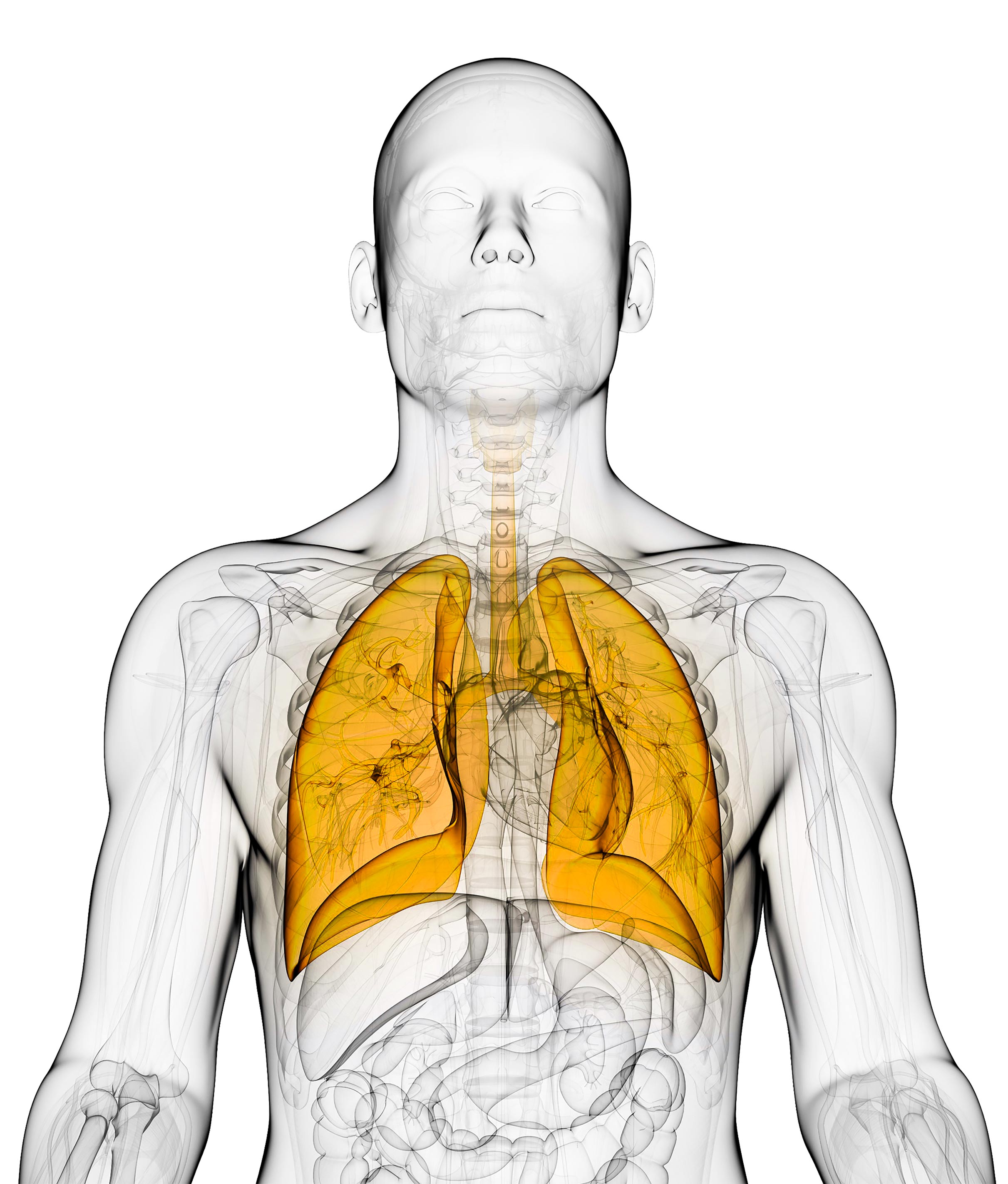 Lung Oncology