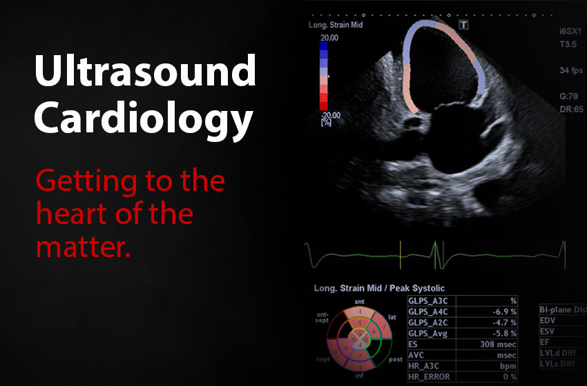Ultrasound Cardiology: Getting to the heart of the matter. - Learn More