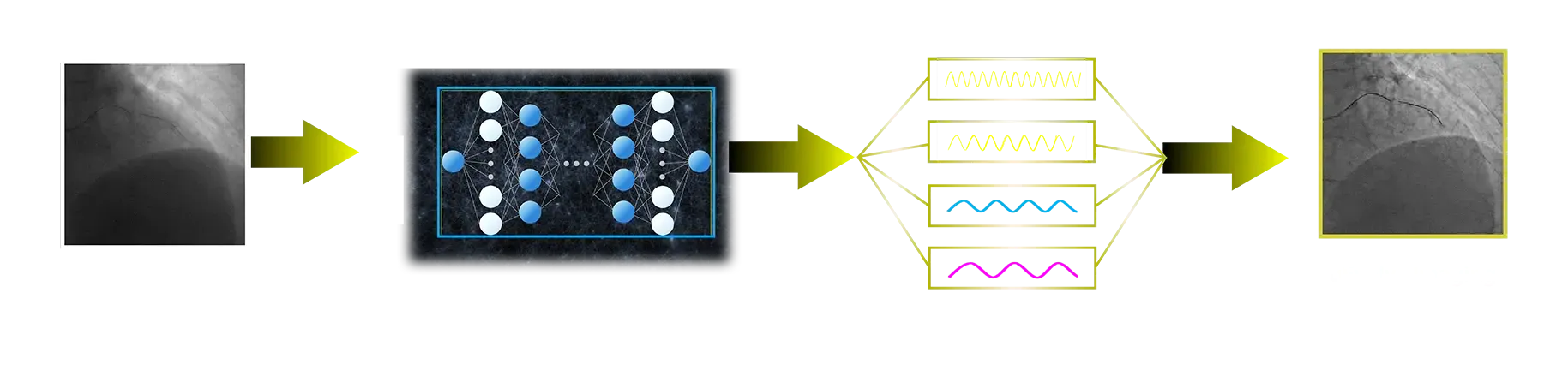 αEvolve Imaging