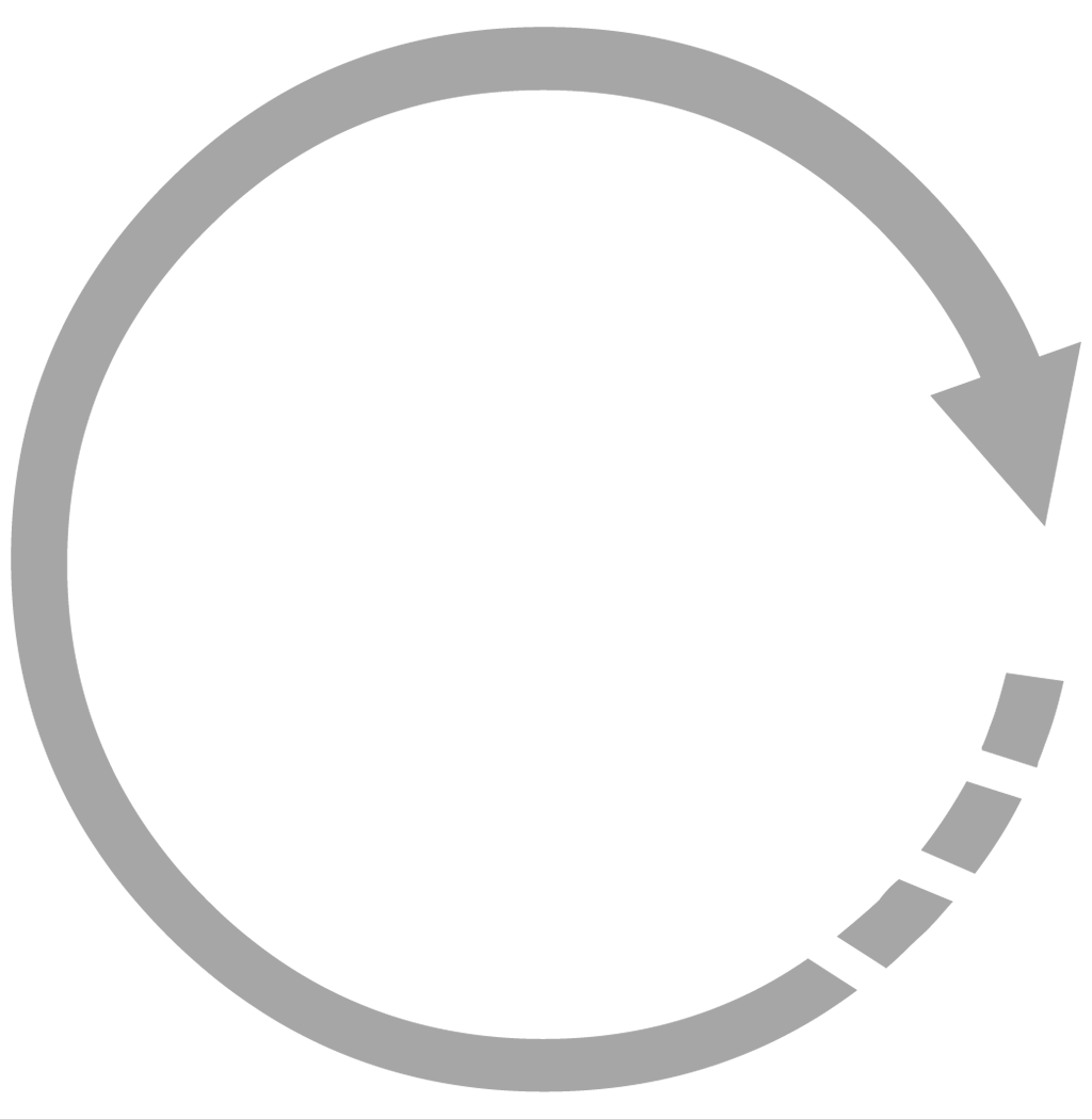Faster Scan Icon