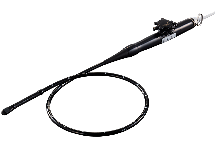 4D-TEE / Volume Matrix Transducer